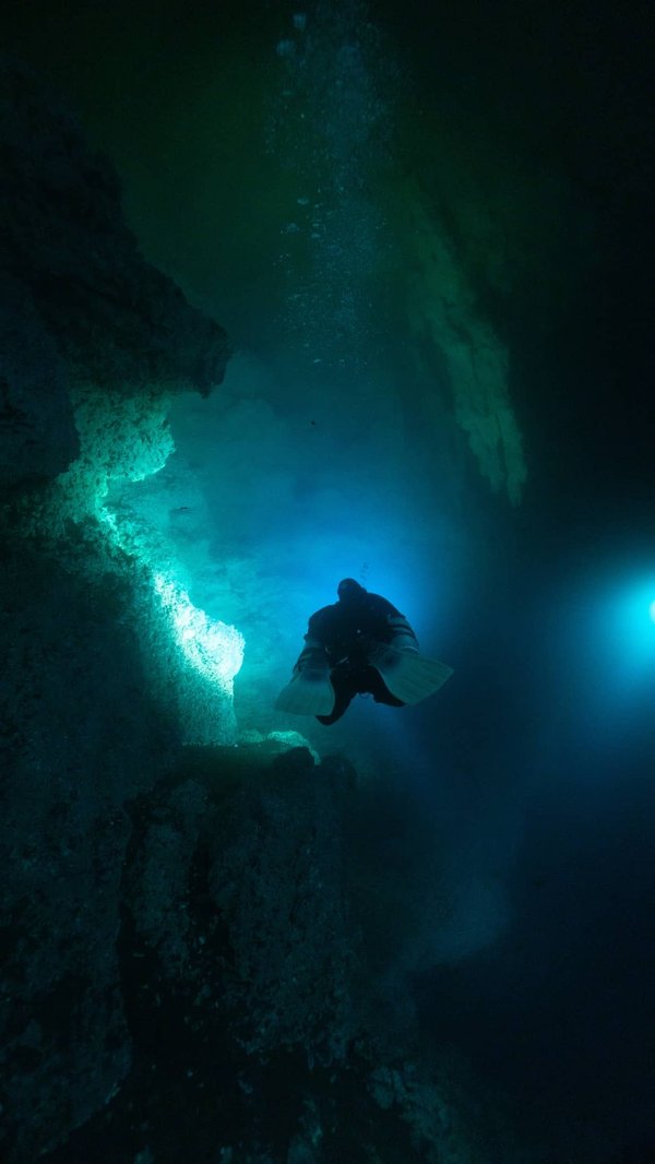 Le tourisme de plongée au Mexique : Explorez les magnifiques récifs coralliens