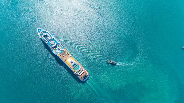 Conseils pour une croisière optimale en antarctique